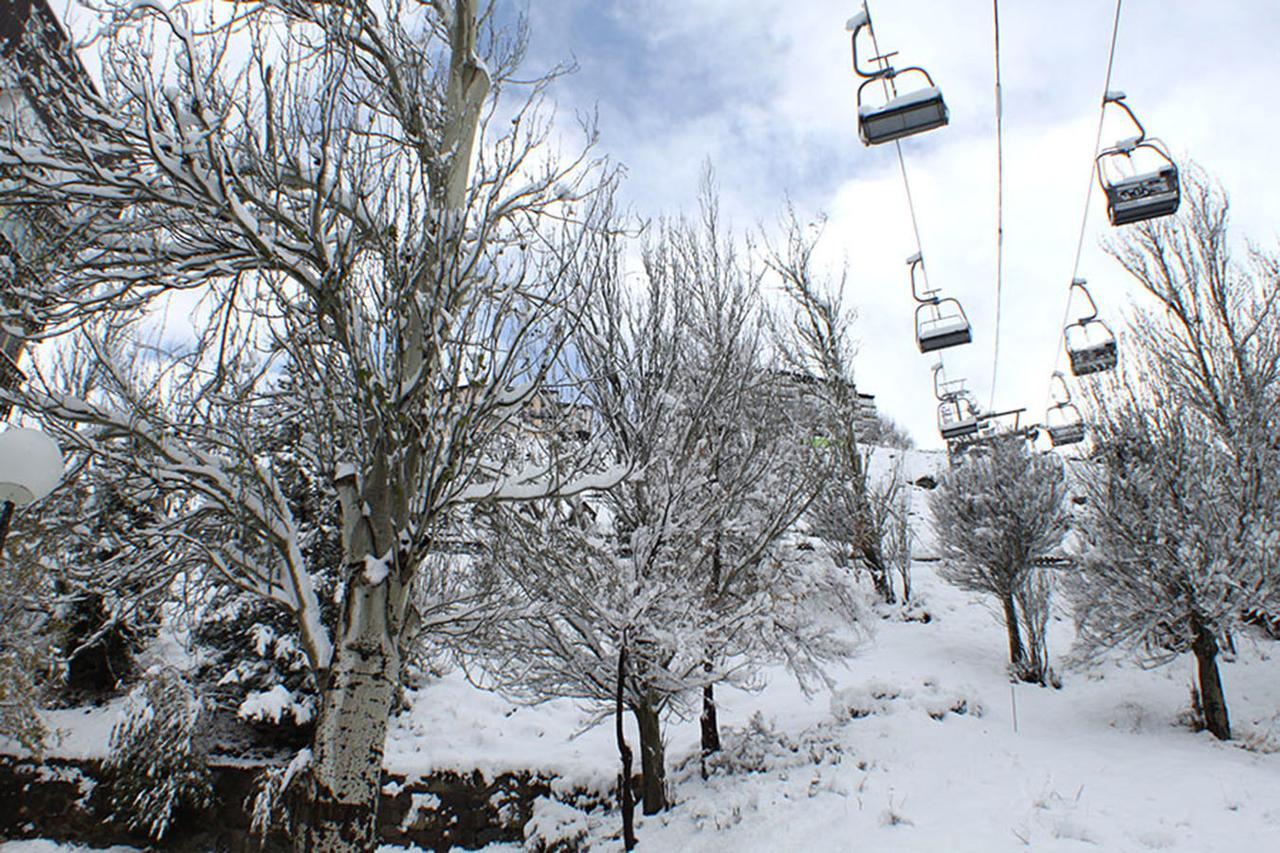Surynieve Zona Media Apartment *