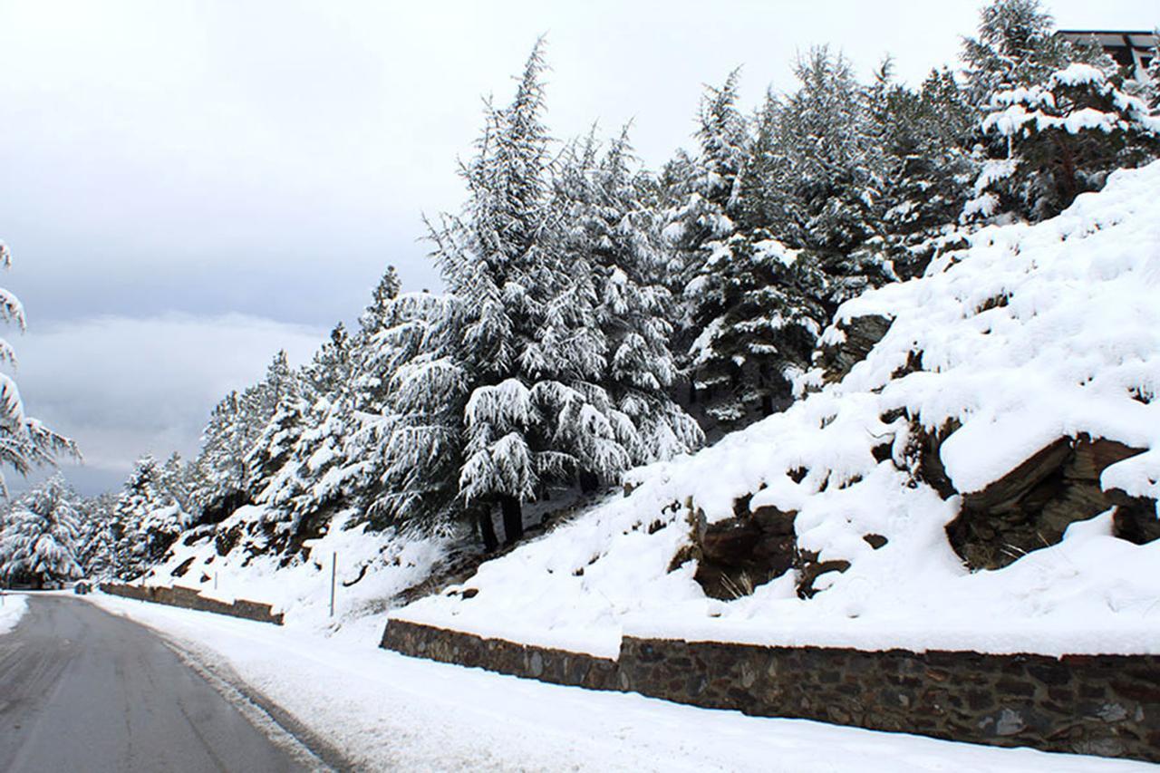 Surynieve Zona Media Sierra Nevada
