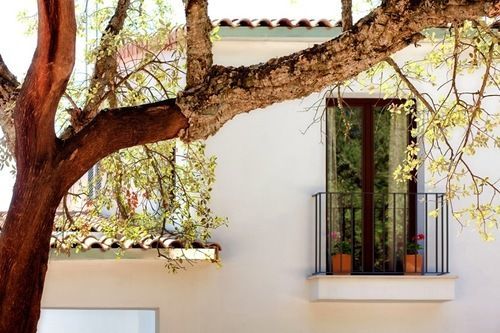 Tambor Del Llano Farm stay