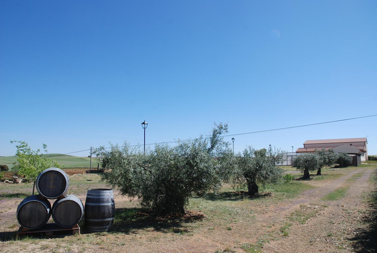 Hotel Teso De La Encina 3*