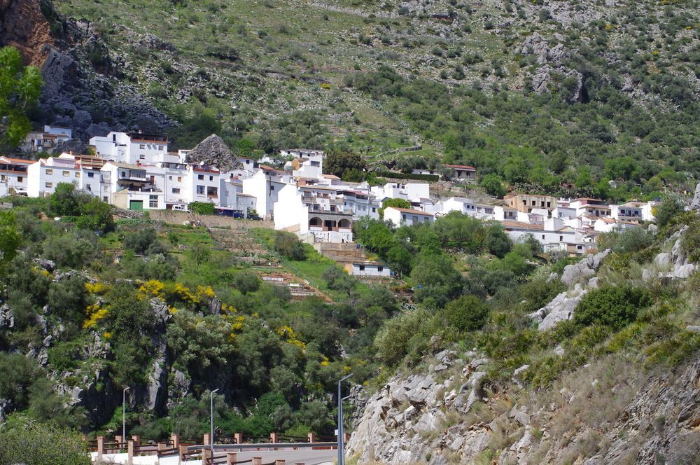 Pensión Hospederia Y Aptos Casa De Piedras
