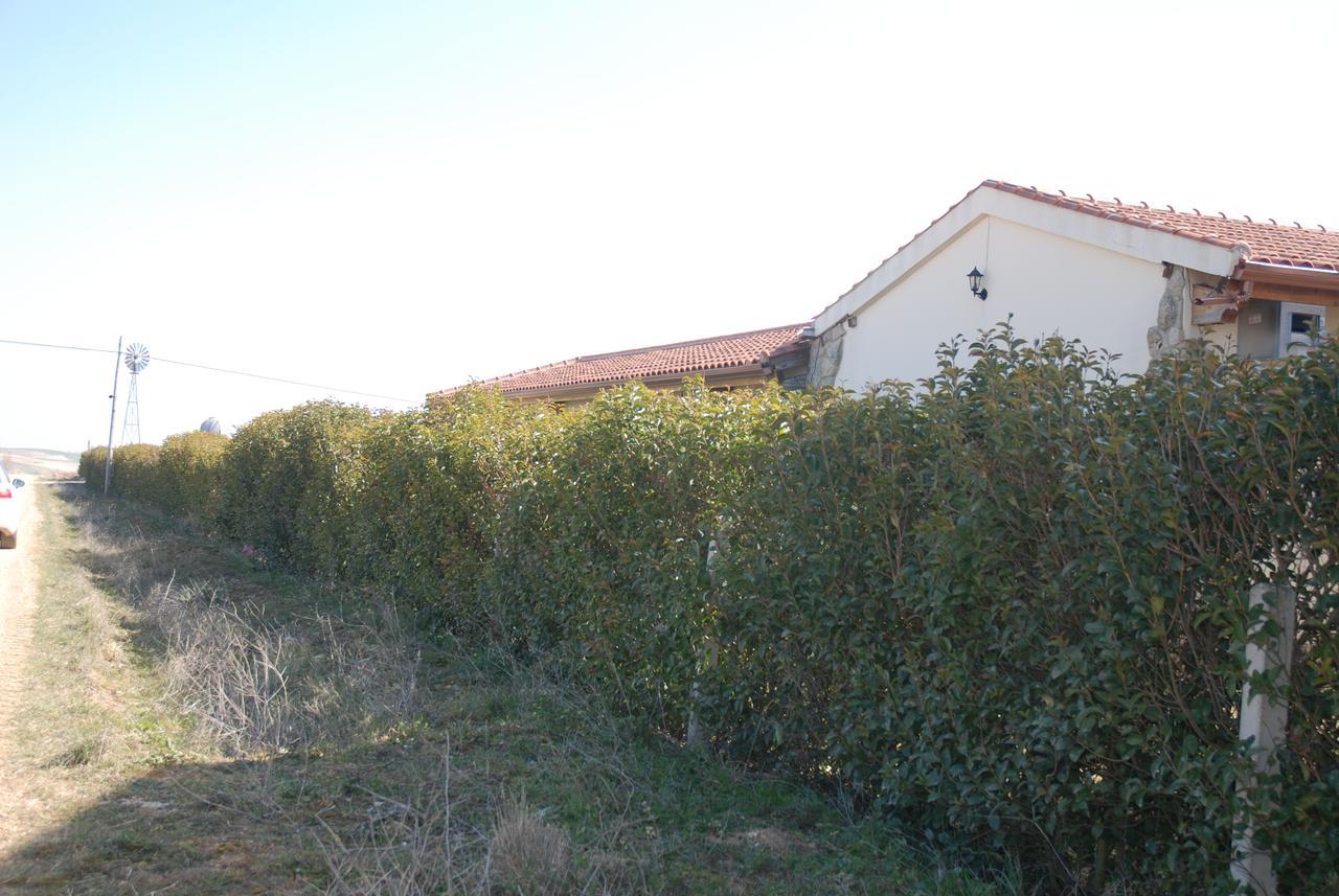 Hotel Teso De La Encina 3*