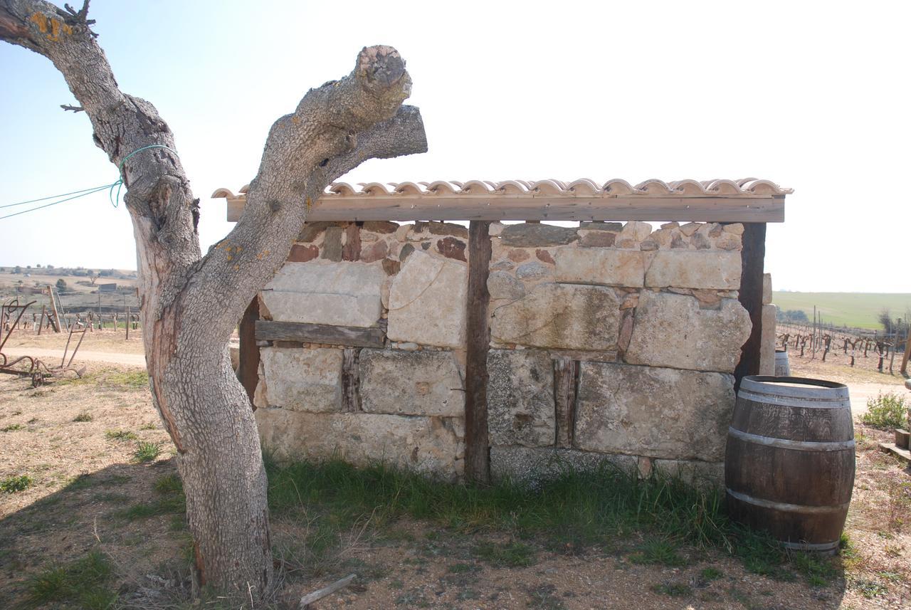 Teso De La Encina Villamor de los Escuderos