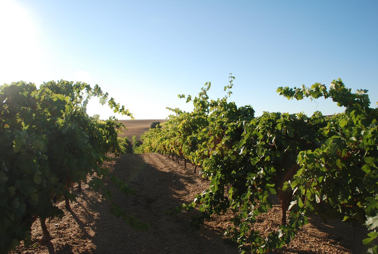Teso De La Encina 3* Villamor de los Escuderos