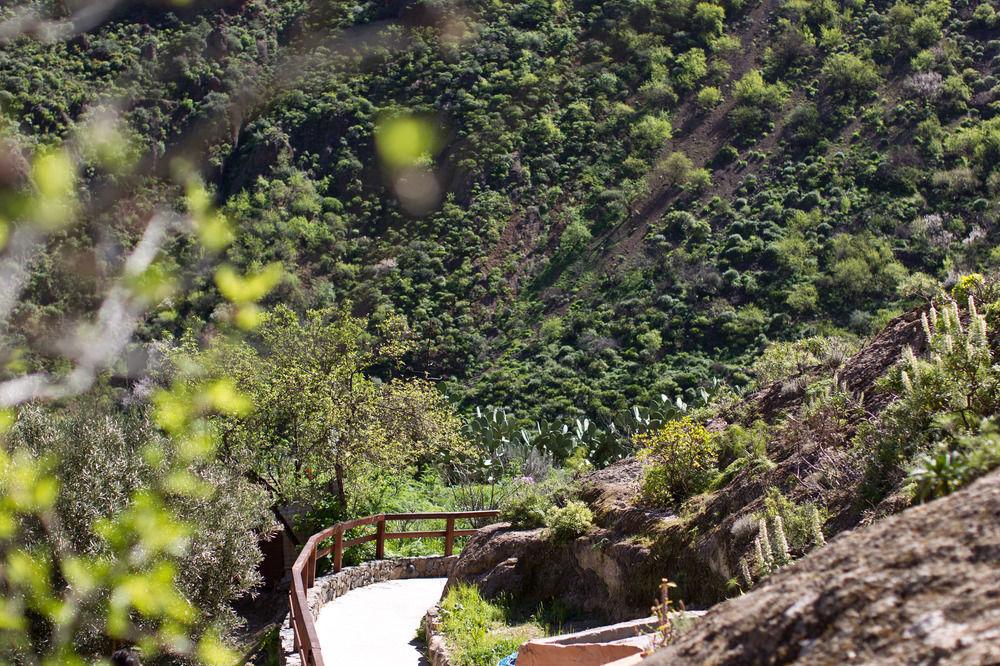 Casa rural De Guayadeque Ingenio