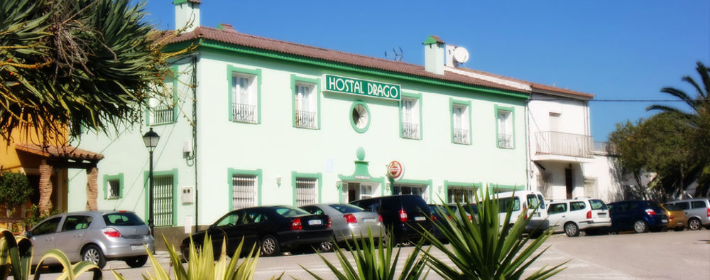 Drago Guest house Pueblo Nuevo de Guadiaro