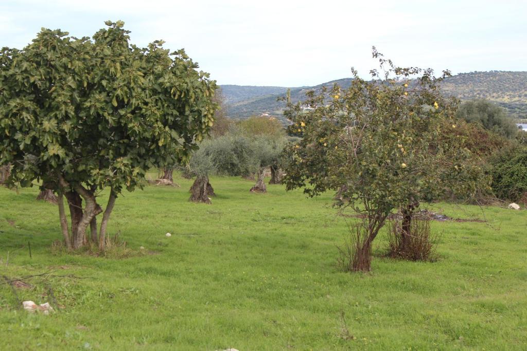 Casa Rural El Recuerdo Country house