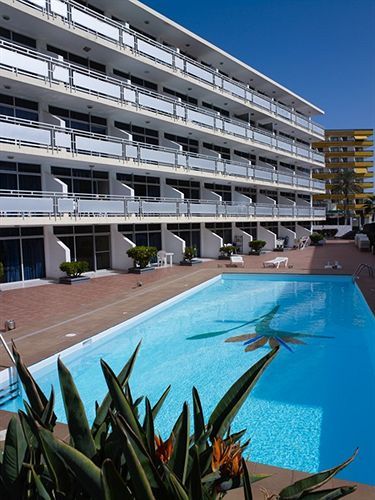 Apartment Strelitzias