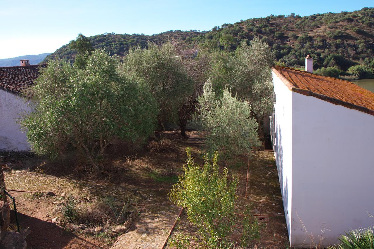 Casa De Olivos