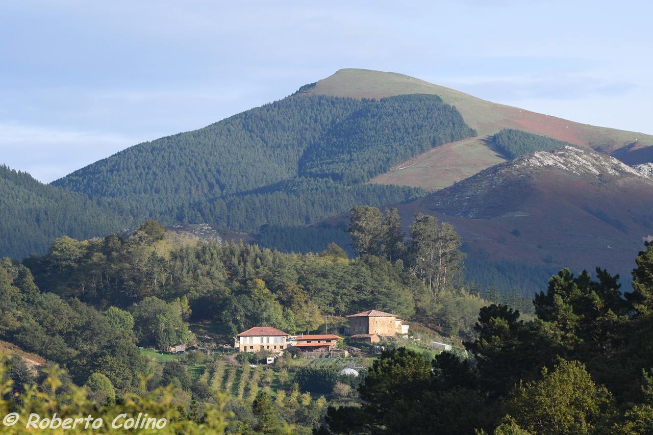Artesoro Baserria Holiday home *