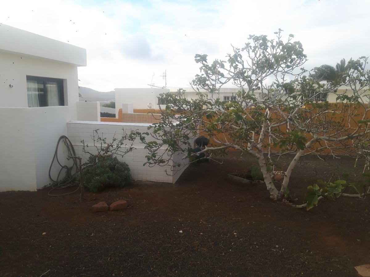 Blue Apartment Famara
