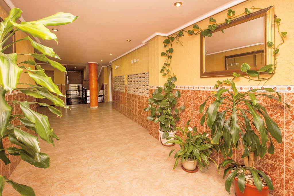 Apartamento Apartamento- Félix De Fuente *