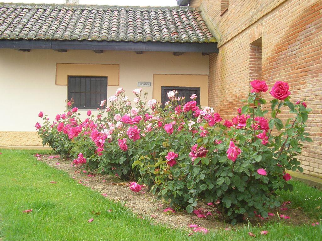 Dehesa La Cenia 4* Mansilla de las Mulas