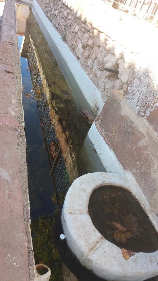 Eras Altas Selas