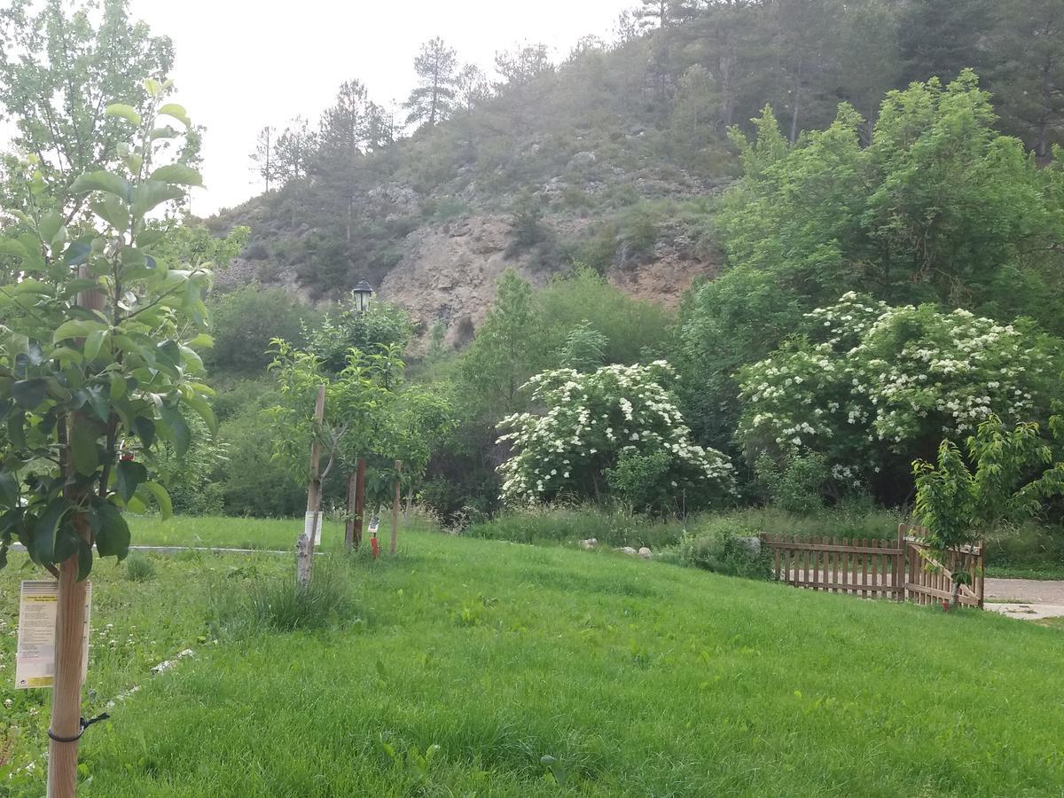 Moli De