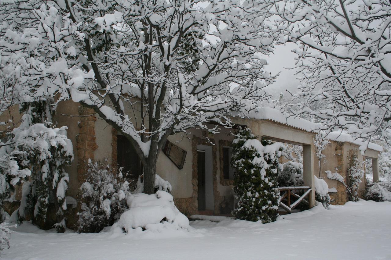 Enebros Casa rural *