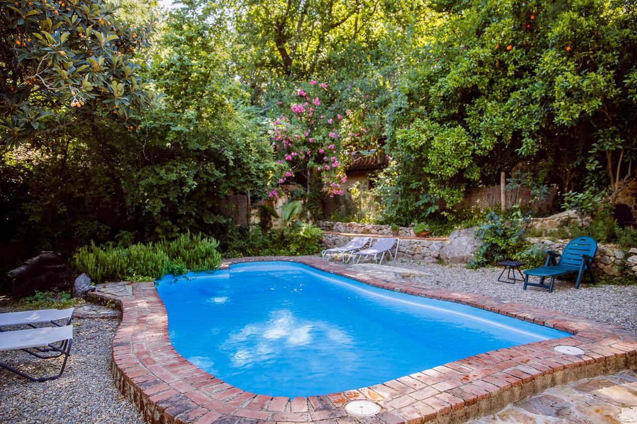 La Casa Del Bosque