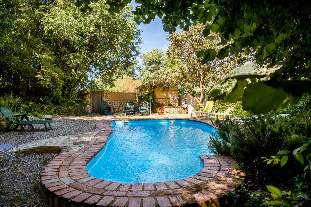 La Casa Del Bosque