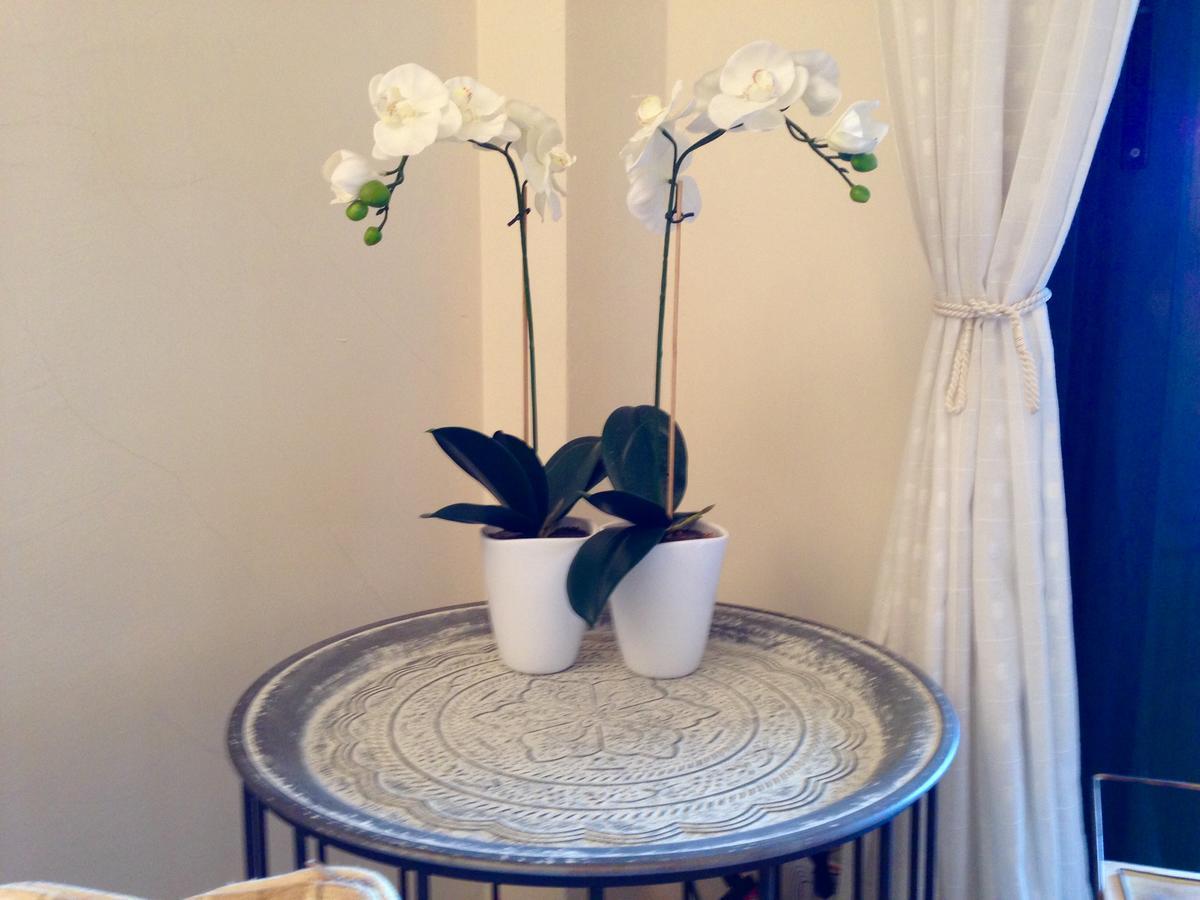 Apartamento Lovely Holiday