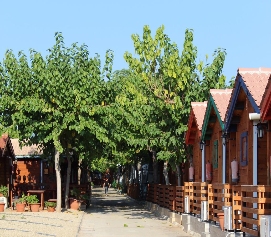 & Oasis Camping 4*
