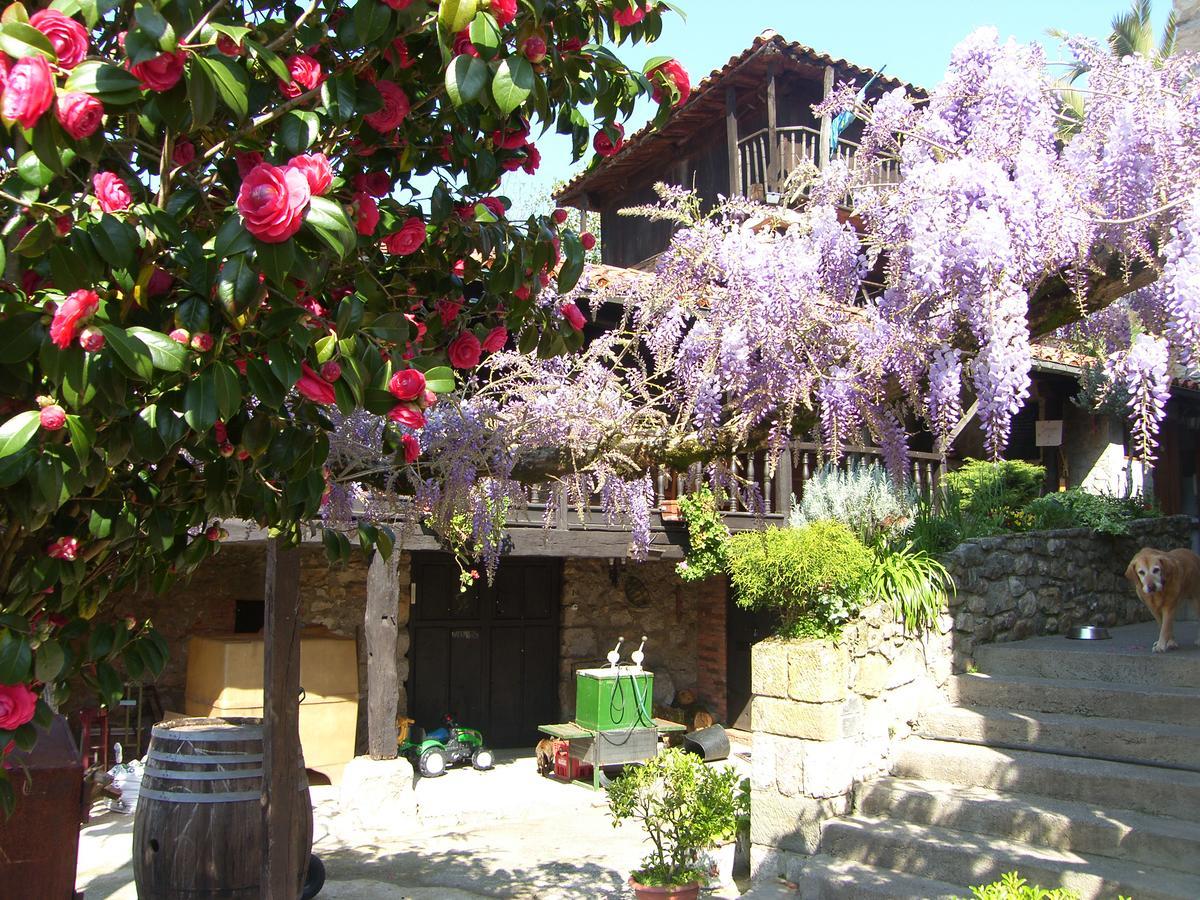 El Pareon Country house Sirviella