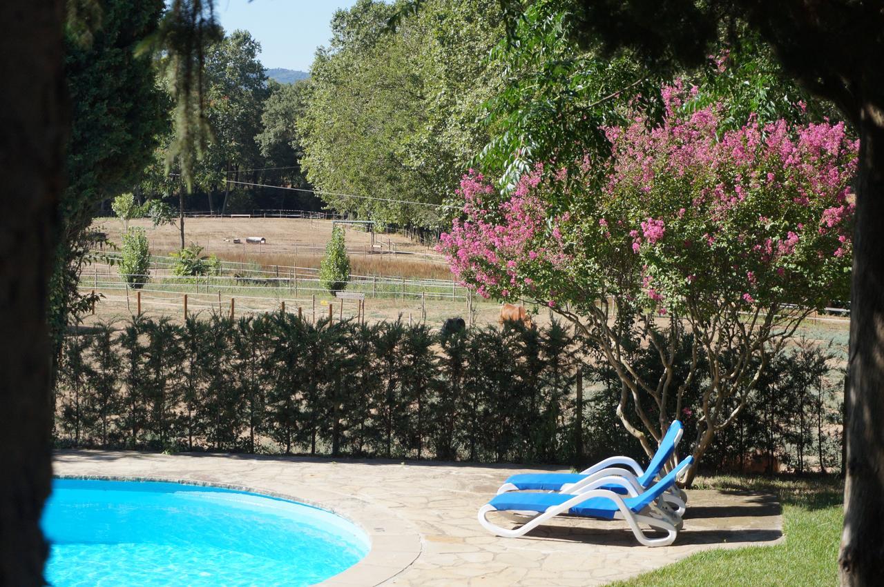 Ribalta Hotel 4*