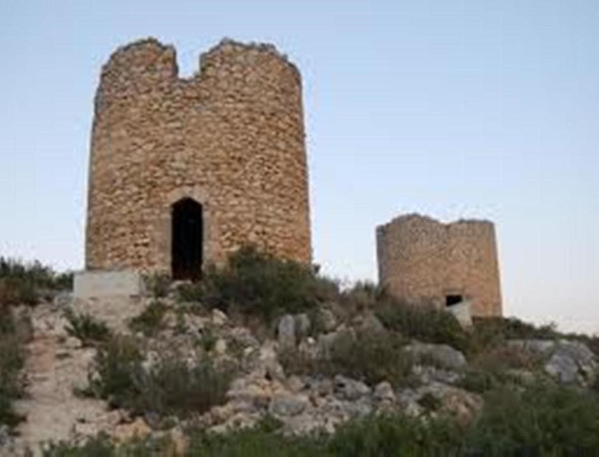 Buganvilla