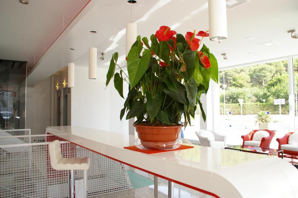 Centremar Apartment L'Estartit