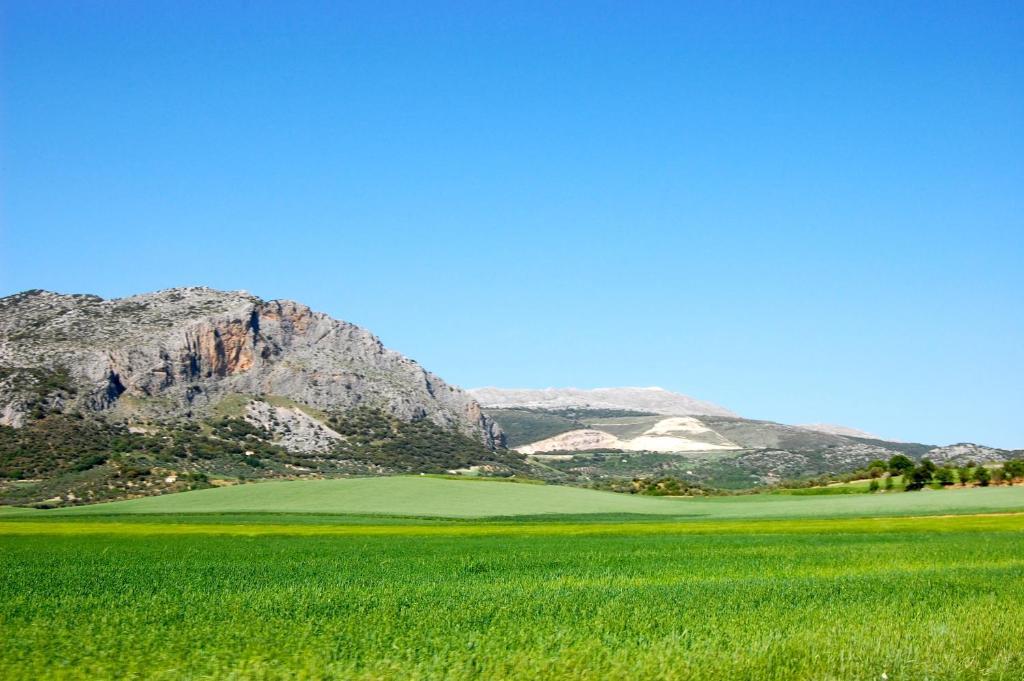 Cortijo Pulgarin Bajo *