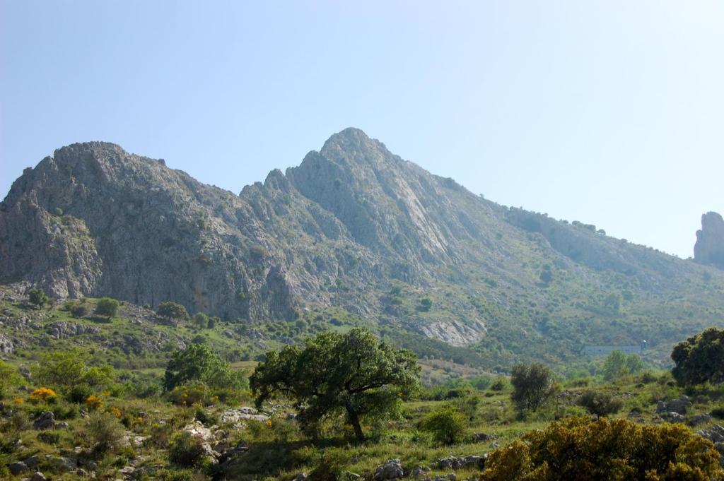 Cortijo Pulgarin Bajo * Alfarnatejo