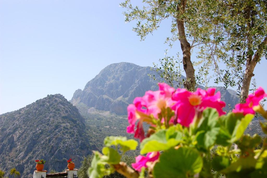 Cortijo Pulgarin Bajo