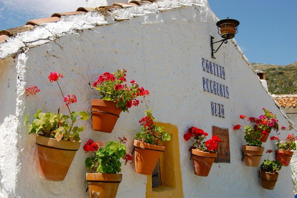Cortijo Pulgarin Bajo Alfarnatejo