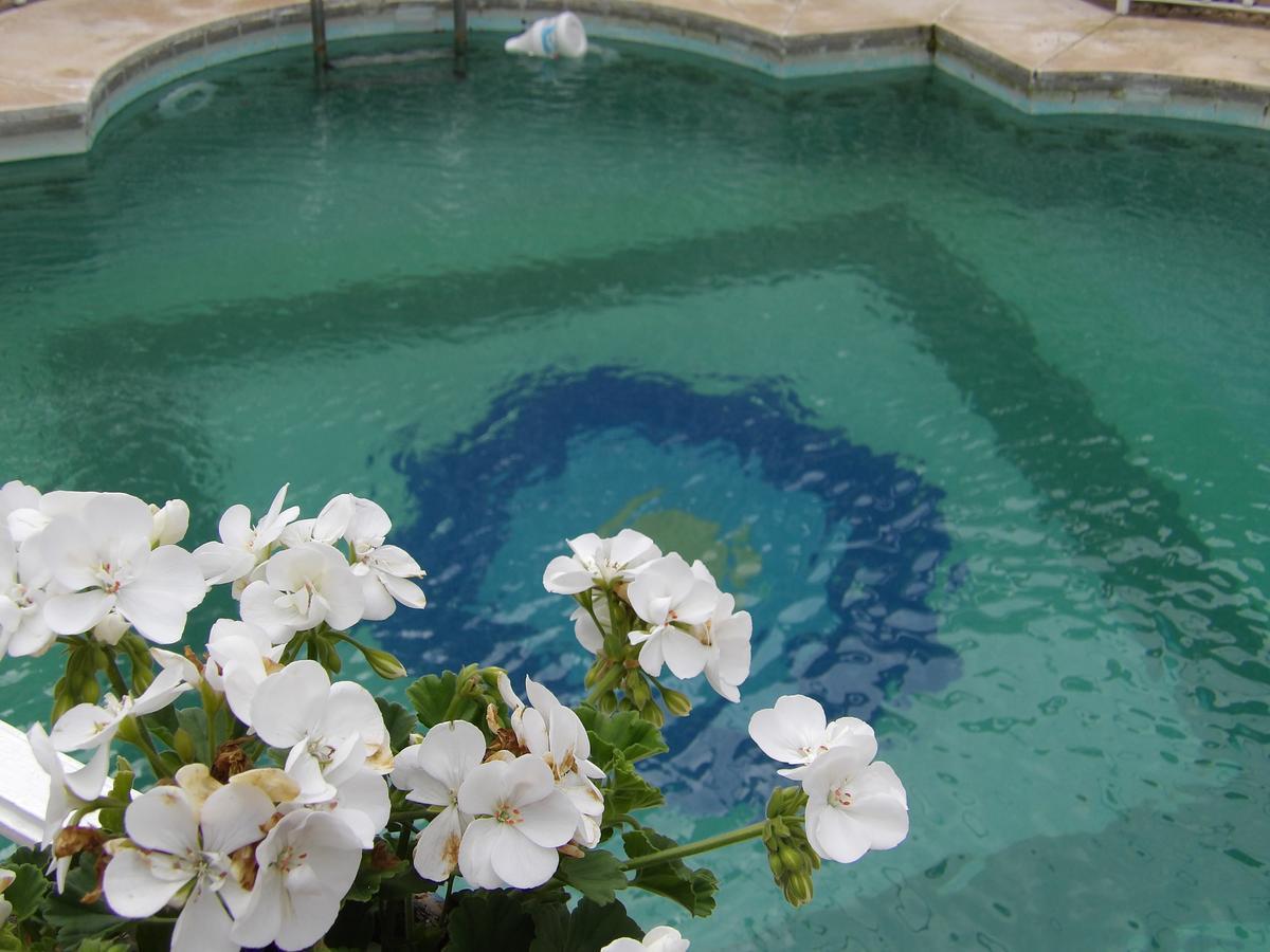 Palacio Donana , Rural & Luxury 3* El Rocio