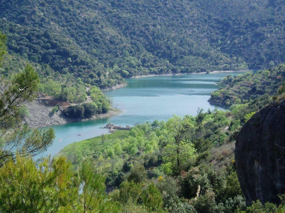 Siuranella