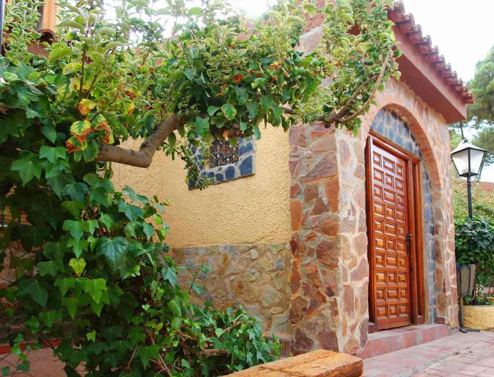 Apartamento La Don Quijote *