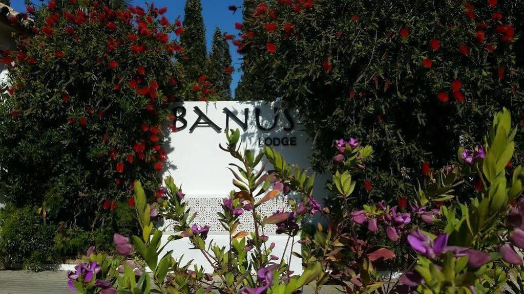 Apartment Banus