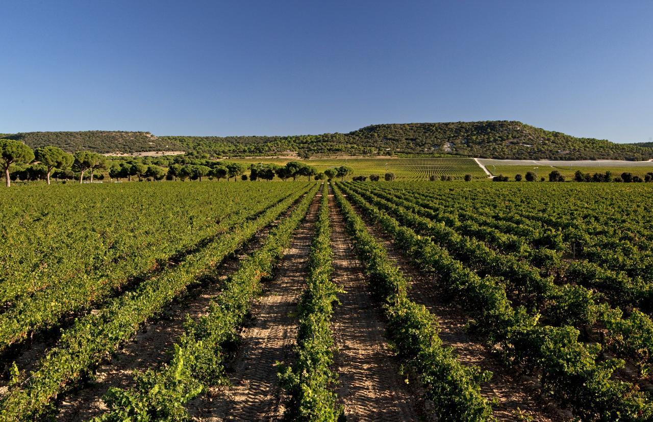 Abadia Retuerta Ledomaine 5* Sardon De Duero