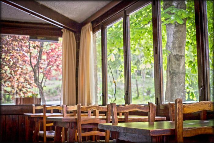 L'avet Blau Hostal