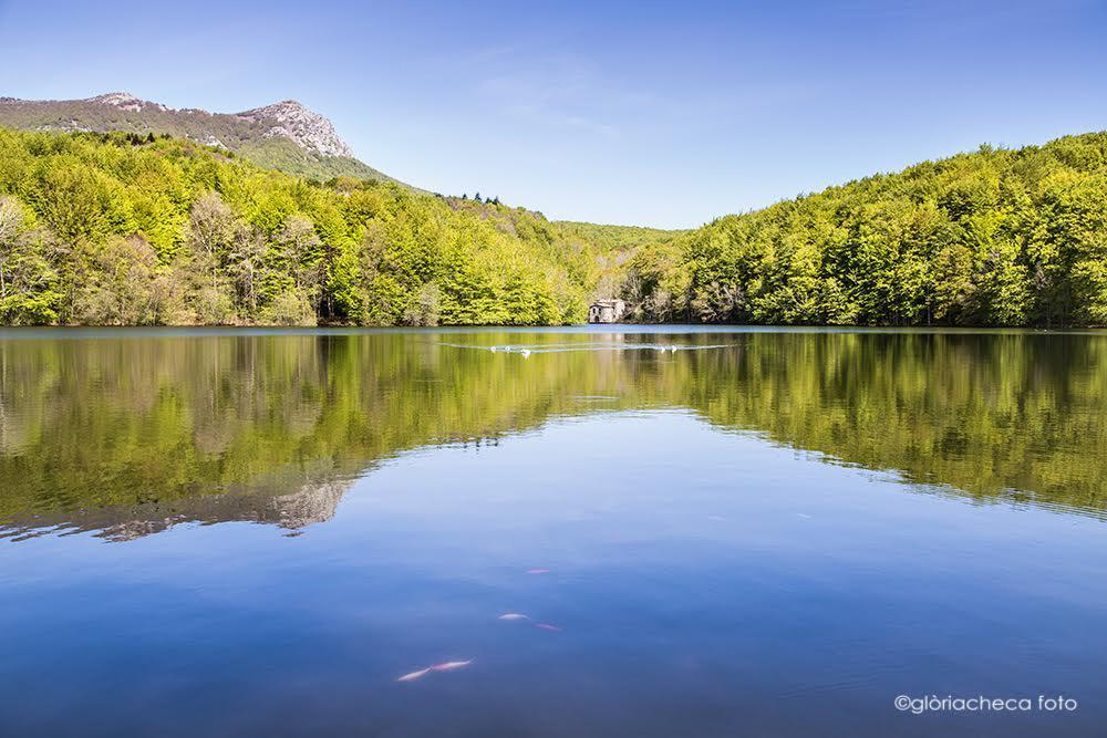 L'avet Blau Hostal Santa Fe de Montseny