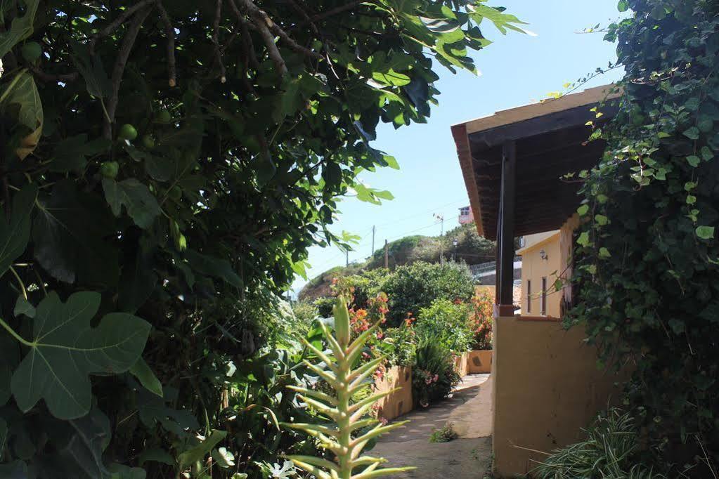 Rosas Сasa de vacaciones