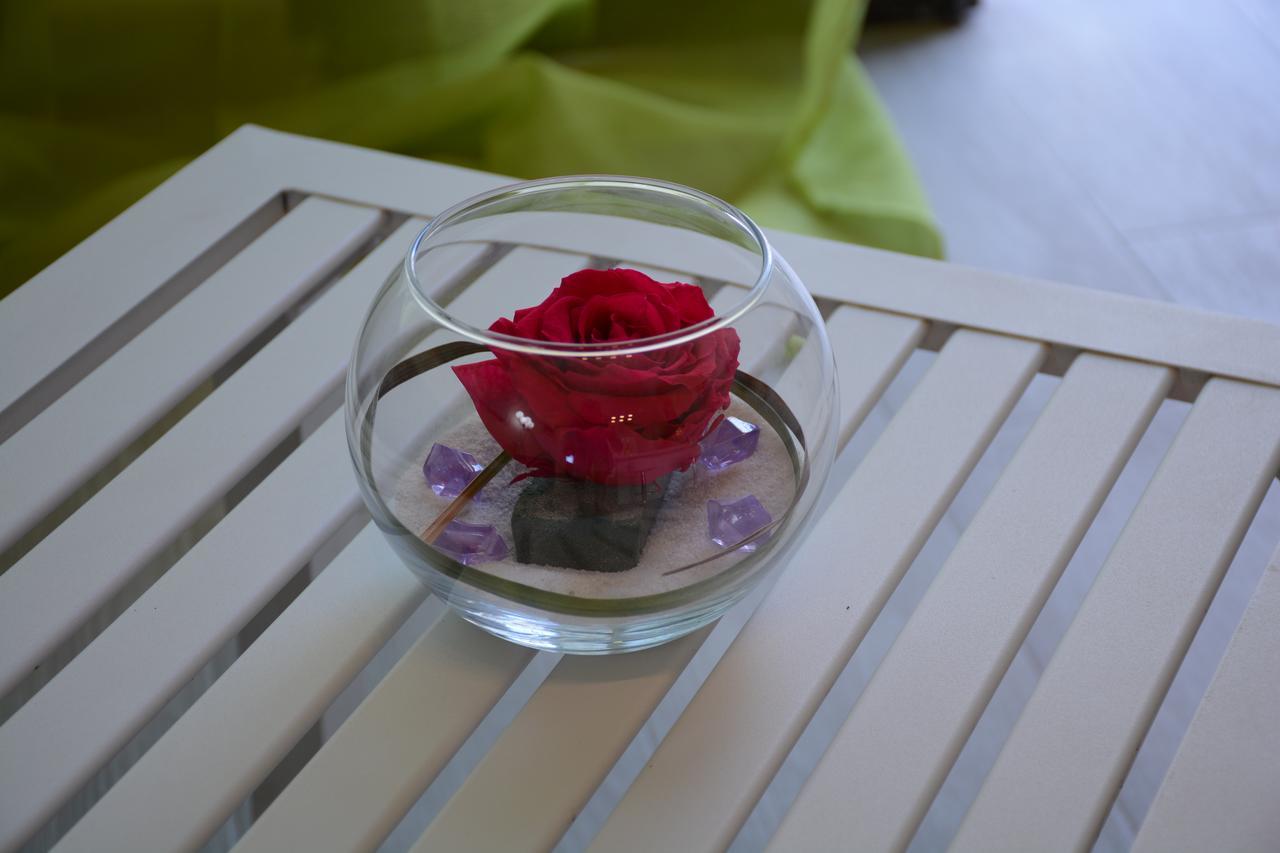 The Confort House 3*