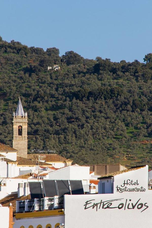 Entreolivos Hotel