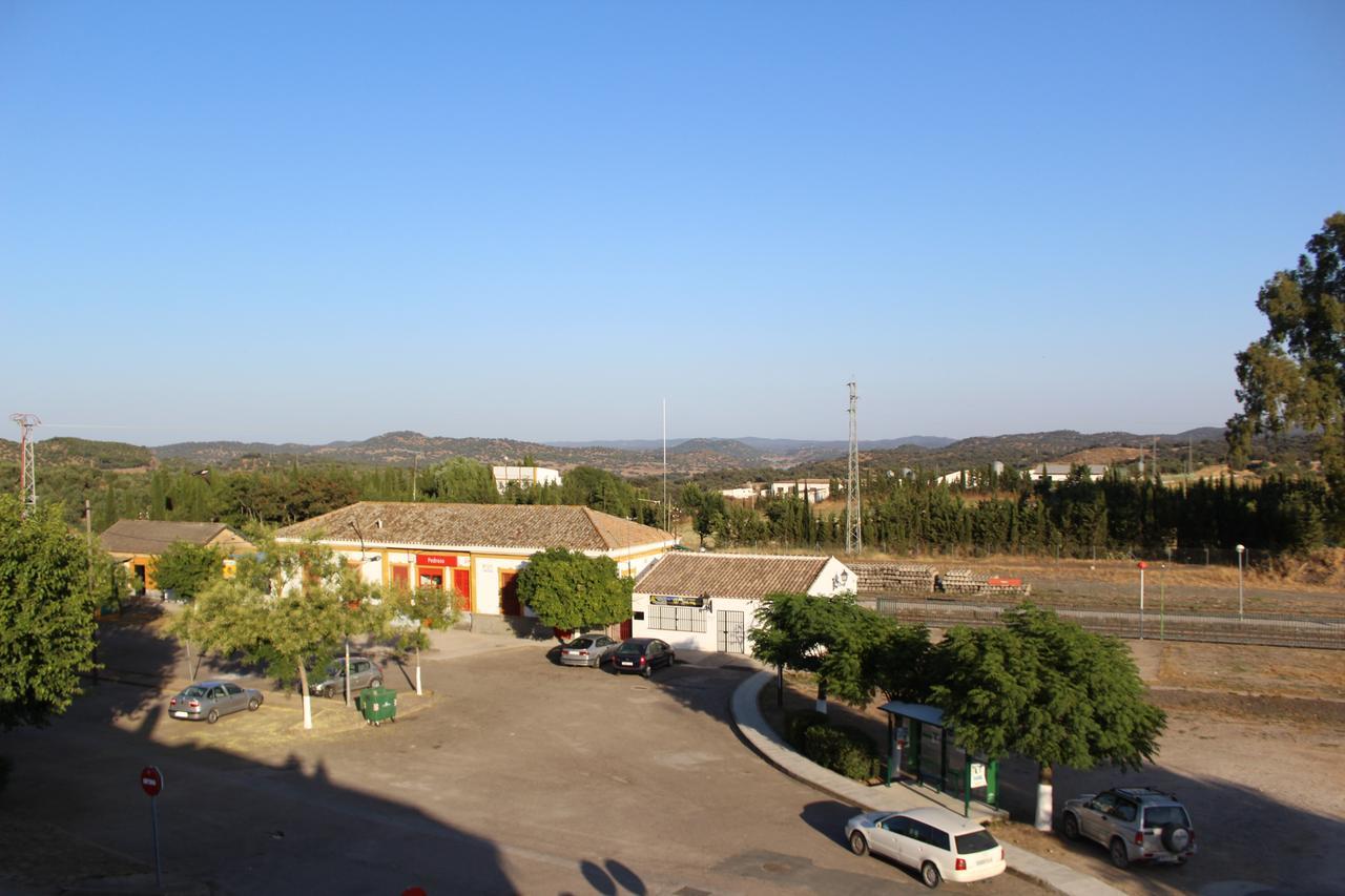 Entreolivos El Pedroso