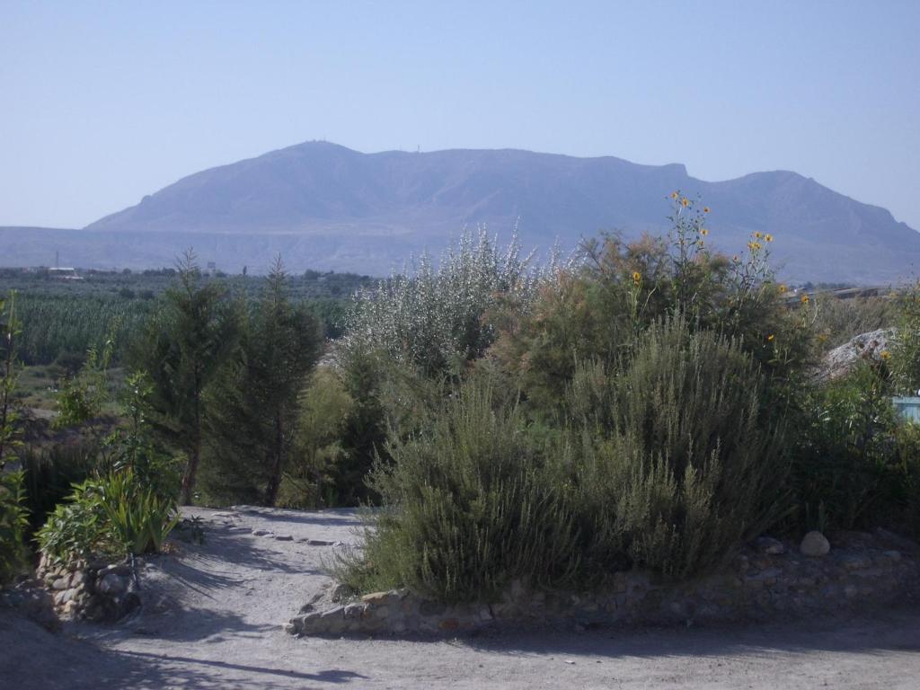 Al Jatib Apartment Baza