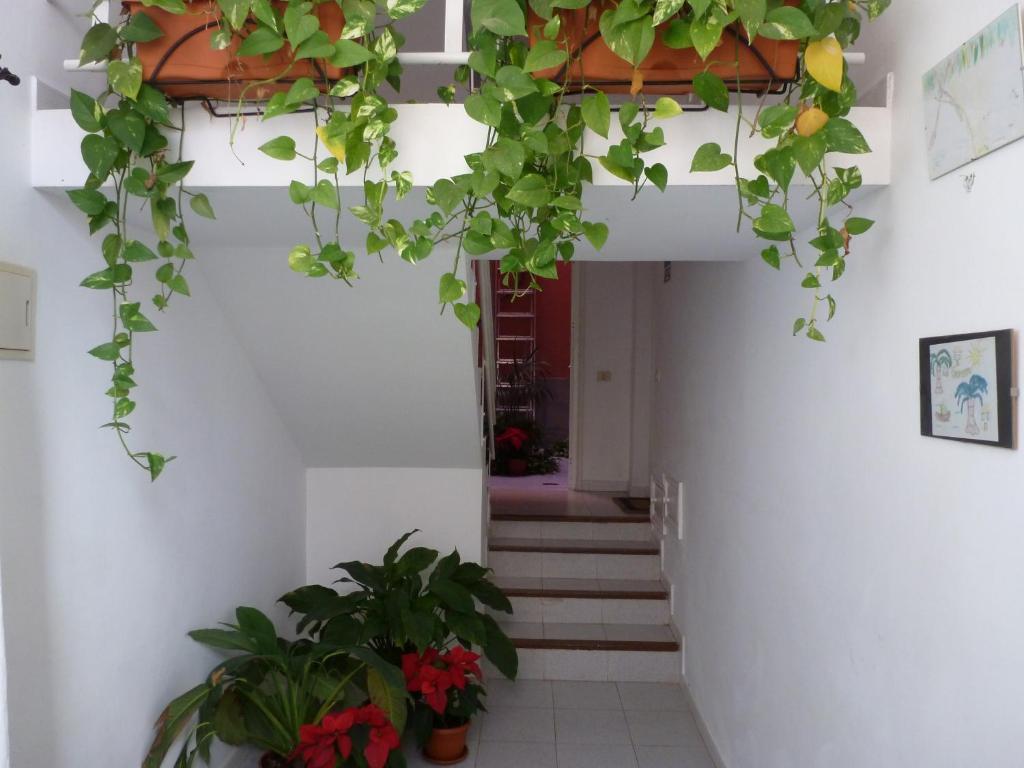 Bellavista Gomera