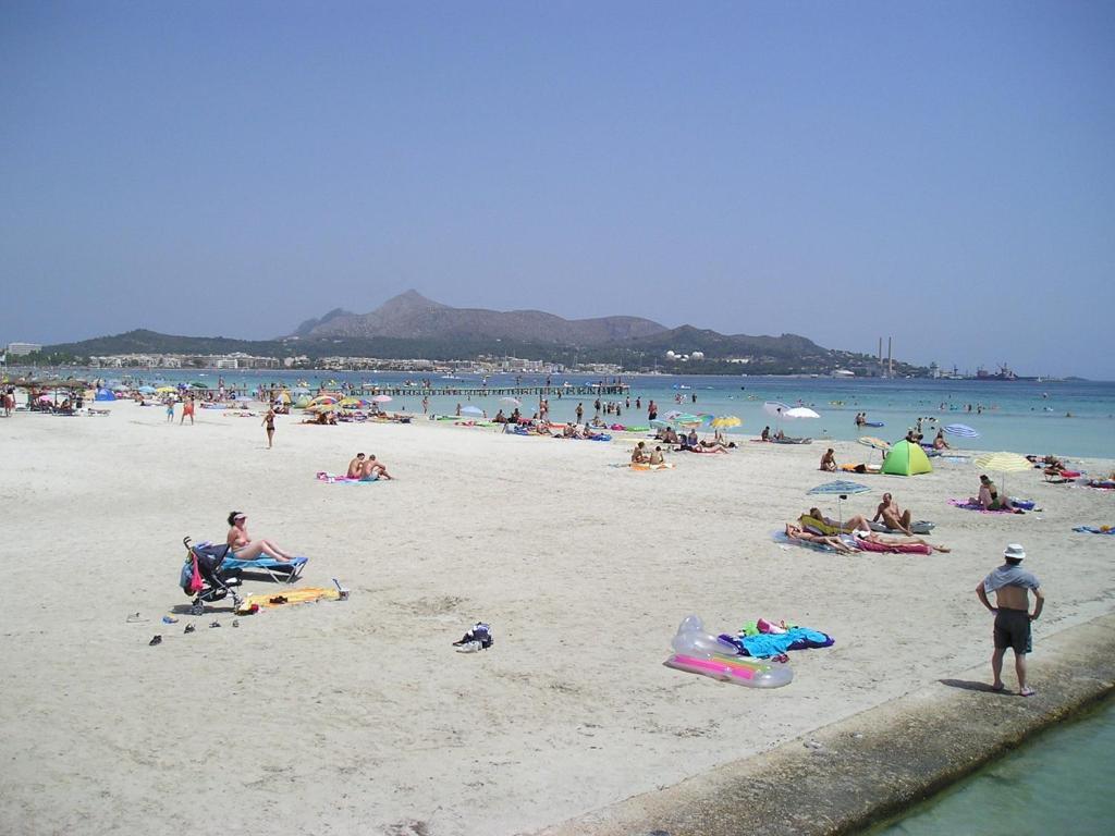 Apartamento Ses Dalies Puerto de Alcúdia