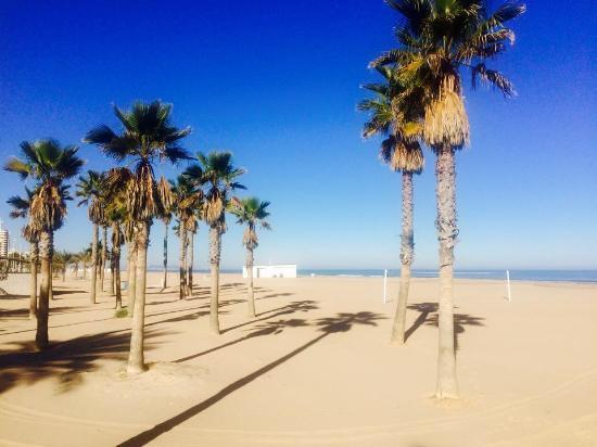 Hugo & Hotel Gandia