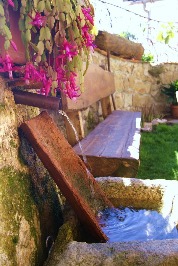 La Gatera Inn 3*