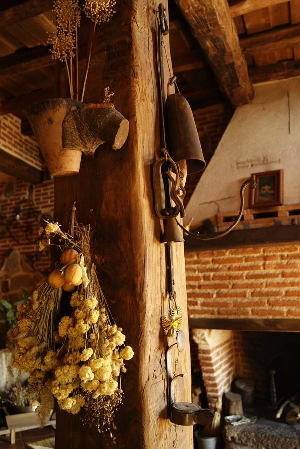 La Gatera Inn Pedro Bernardo