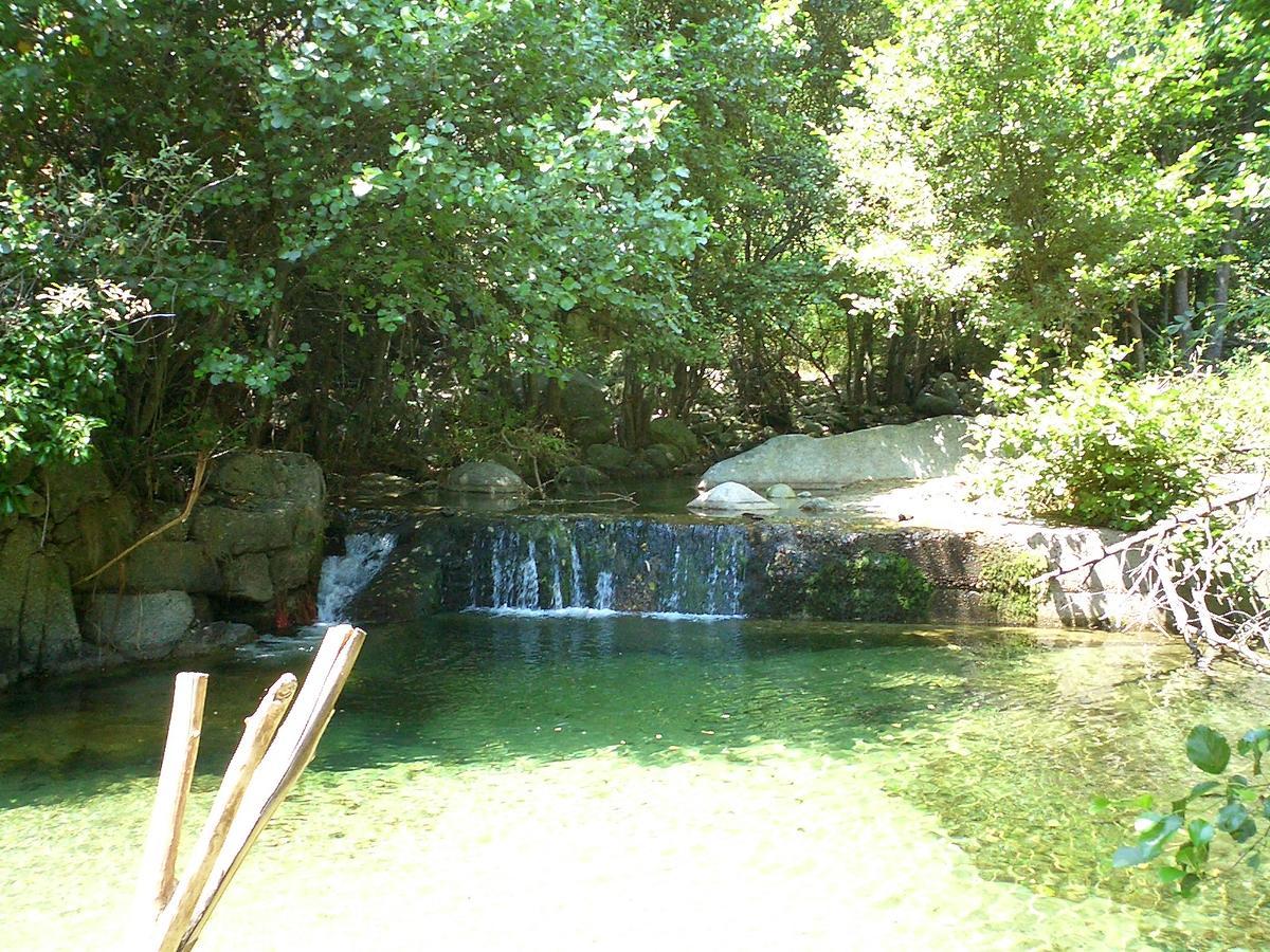 La Gatera Inn 3*